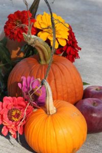 Recipes for Homemade Pumpkin Flavoring, for Everything! Image